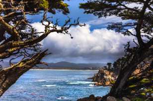Point Lobos-3416.jpg Point Lobos-3416.jpg